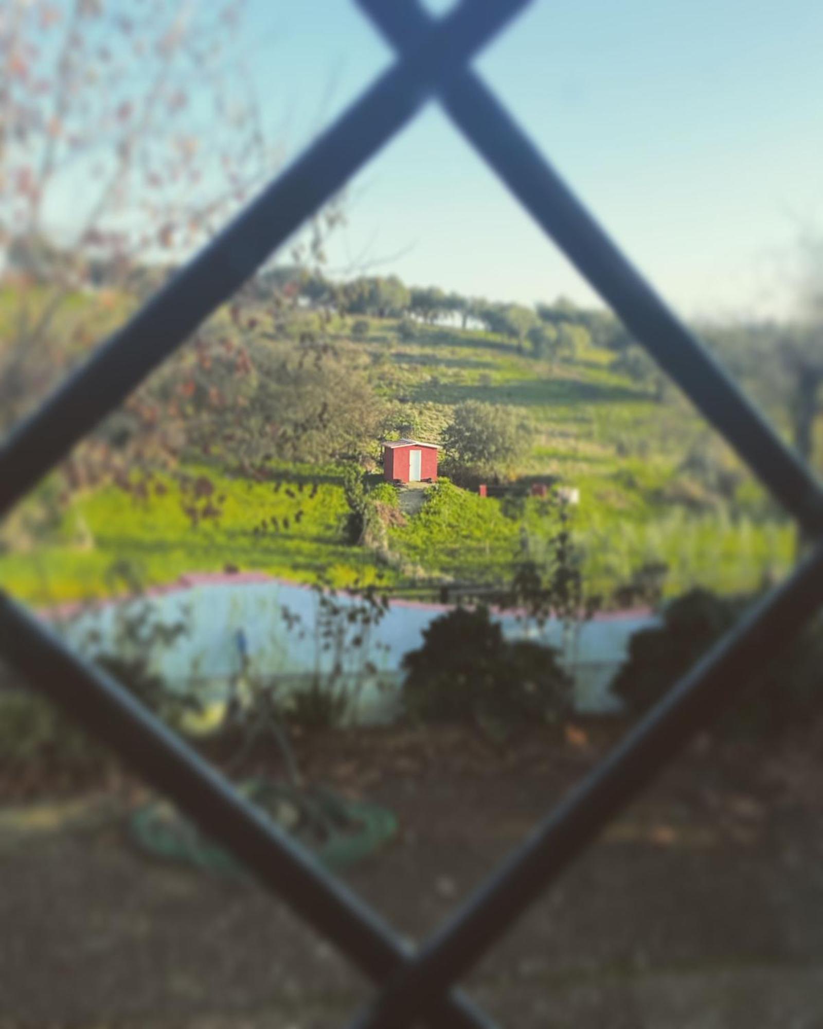 Cedillo La Casa Barata, Casa Rural المظهر الخارجي الصورة