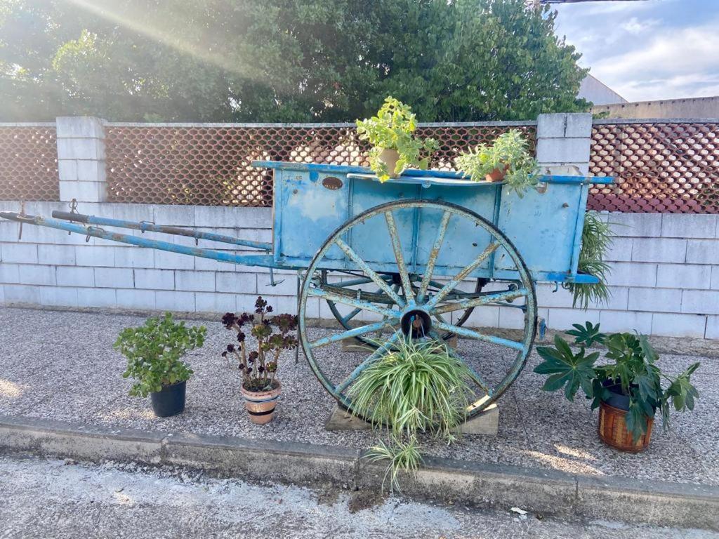 Cedillo La Casa Barata, Casa Rural المظهر الخارجي الصورة